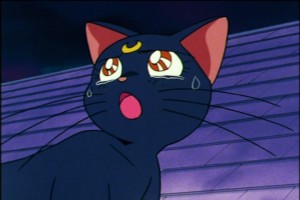 SailorMoon-s1-045(421).jpg