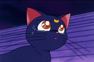 SailorMoon-s1-046(308).jpg