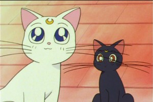 SailorMoon-s1-046(435).jpg