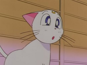 screenshot-anime-sailor-moon-sailor-stars-episode-178-092.JPG