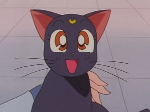 screenshot-anime-sailor-moon-sailor-stars-episode-178-185.JPG