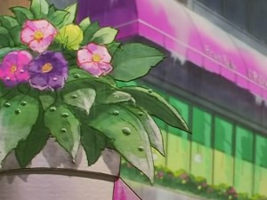 screenshot-anime-sailor-moon-sailor-stars-episode-195-073.jpg