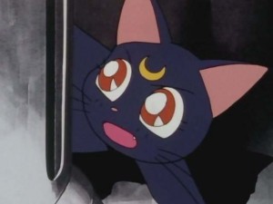 SailorMoon-s1-001(420).jpg