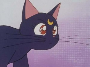 SailorMoon-s1-001(49).jpg