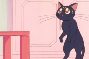 SailorMoon-s1-007(125).jpg