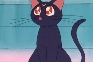 SailorMoon-s1-007(309).jpg