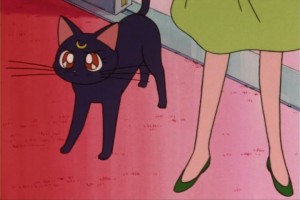 SailorMoon-s1-007(357).jpg