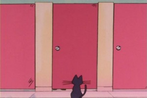 SailorMoon-s1-007(373).jpg