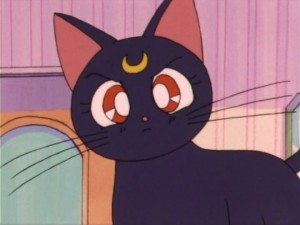 SailorMoon-s1-007(480).jpg
