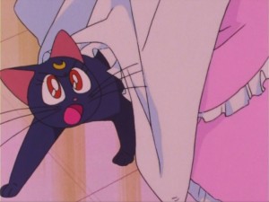 SailorMoon-s1-016(361).jpg