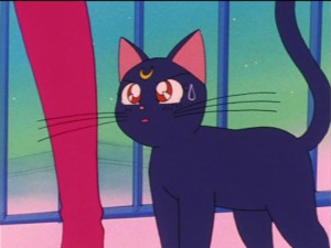 SailorMoon-s1-021(383).jpg