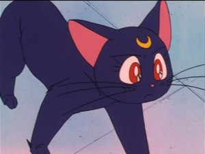 SailorMoon-s1-021(415).jpg