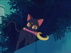 SailorMoon-s1-028(304).JPG