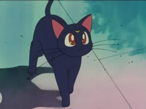 SailorMoon-s1-028(312).JPG
