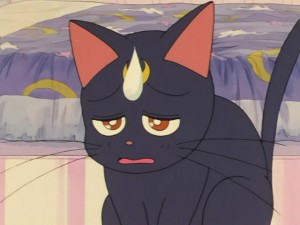 SailorMoon-s1-030(301).JPG