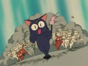 SailorMoon-s1-031(18).JPG