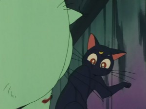 SailorMoon-s1-031(345).JPG