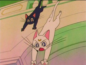 SailorMoon-s1-037(370).jpg