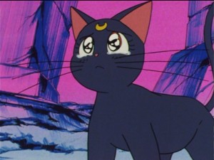 SailorMoon-s1-044(382).JPG