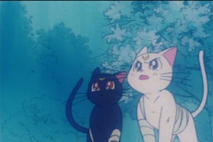 SailorMoon-s1-045(68).jpg