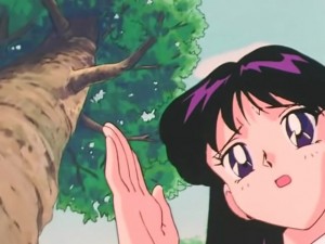 screenshot-anime-sailor-moon-s-episode-091-187.jpg