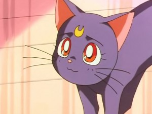 screenshot-anime-sailor-moon-sailor-stars-episode-190-181.jpg