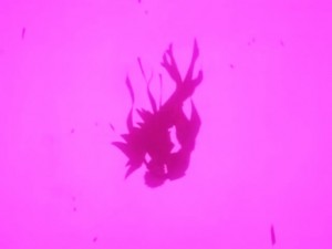 screenshot-anime-sailor-moon-sailor-stars-episode-198-179.jpg