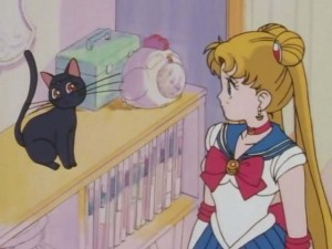 SailorMoon-s1-001(336).jpg