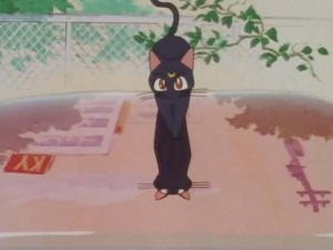 SailorMoon-s1-001(51).jpg