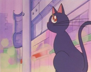 SailorMoon-s1-002(263).JPG