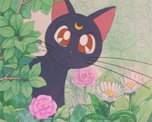 SailorMoon-s1-002(416).JPG