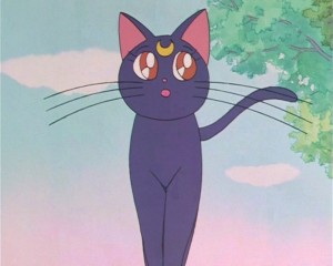 SailorMoon-s1-002(424).JPG