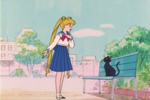 SailorMoon-s1-007(313).jpg