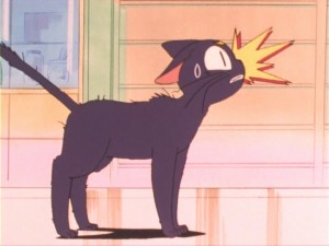 SailorMoon-s1-011(21).jpg