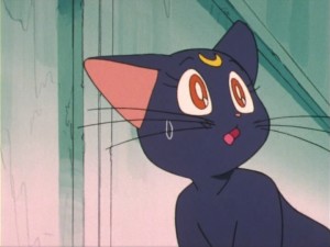 SailorMoon-s1-011(387).jpg