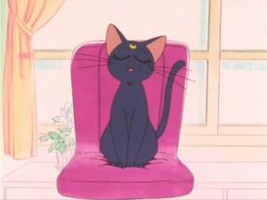 SailorMoon-s1-011(5).jpg