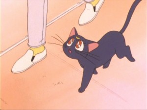 SailorMoon-s1-011(71).jpg