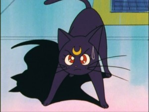 SailorMoon-s1-012(434).jpg
