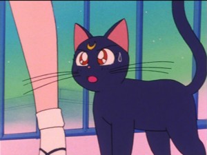 SailorMoon-s1-021(335).jpg
