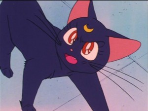 SailorMoon-s1-021(416).jpg