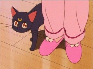 SailorMoon-s1-024(102).jpg