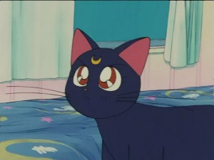 SailorMoon-s1-028(367).JPG