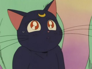 SailorMoon-s1-031(547).JPG