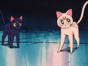 SailorMoon-s1-035(218).jpg