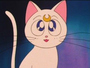 SailorMoon-s1-035(253).jpg
