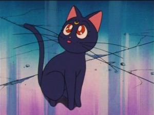 SailorMoon-s1-035(300).jpg