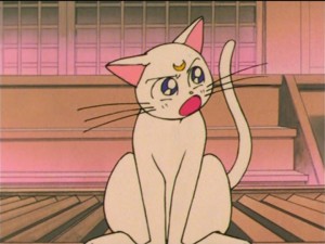 SailorMoon-s1-037(182).jpg