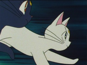 SailorMoon-s1-044(191).JPG
