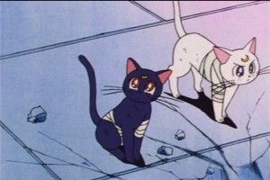 SailorMoon-s1-045(77).jpg