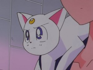 screenshot-anime-sailor-moon-sailor-stars-episode-178-004.JPG